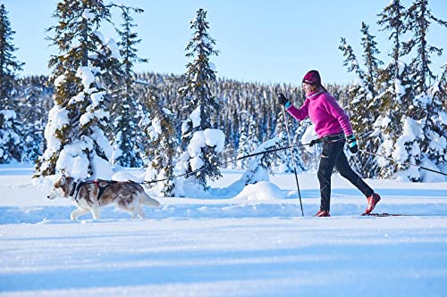 Trekking Belt von Nonstop, Laufgurt,Jogginggurt, Wandergurt für Hunde