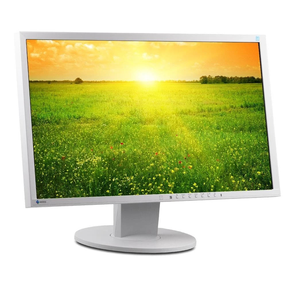 EIZO EV2336 FlexScan 23" 23" TFT Monitor - DisplayPort, DVI, VGA, 6 ms